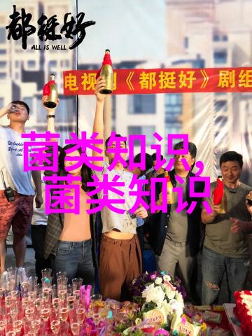 枞树菌生长环境要求是什么枞树菌的分布地区