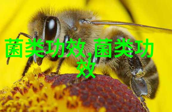 常吃菌菇补钾防病