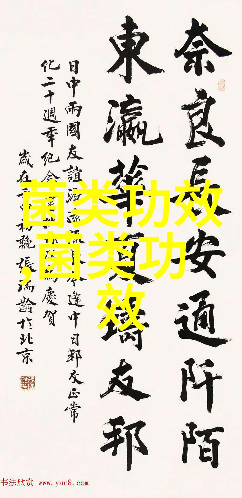 您知道吗免疫系统神经系统和心脑血管系统都与灵芝有着千丝万缕的关系