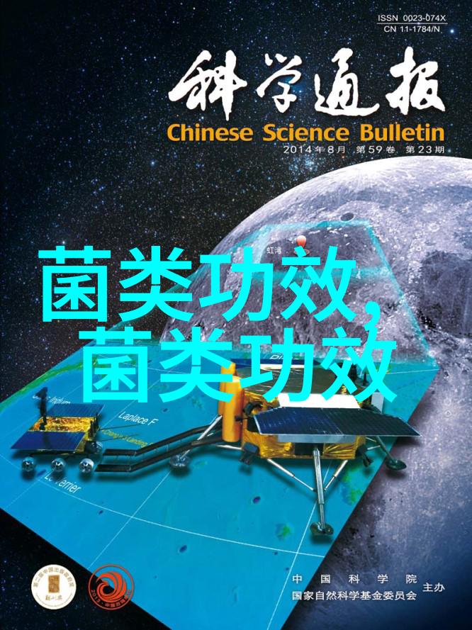 养生新知蘑菇这样吃营养加倍