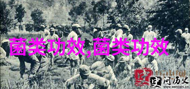 小小香菇不简单这样吃居然能防癌